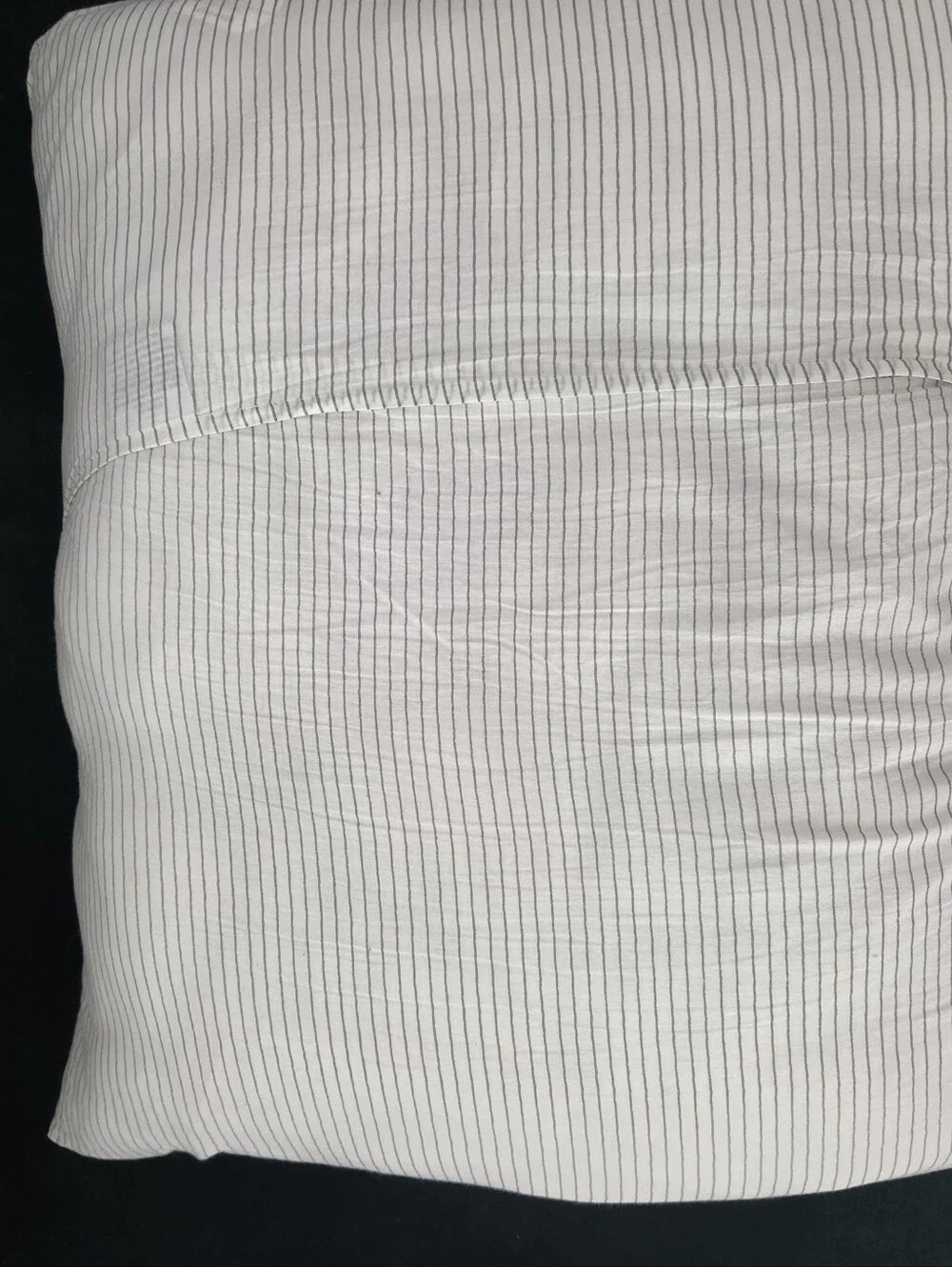 2 Peacock Euro Pillowcases